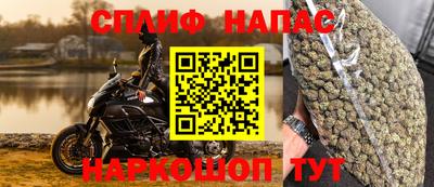 PSILOCYBIN Кулебаки