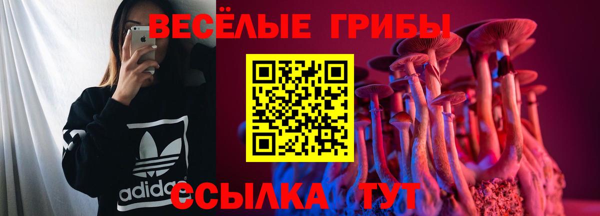 Псилоцибиновые грибы GOLDEN TEACHER  Псилоцибиновые грибы Cubensis  Бийск  Вход с VPN 